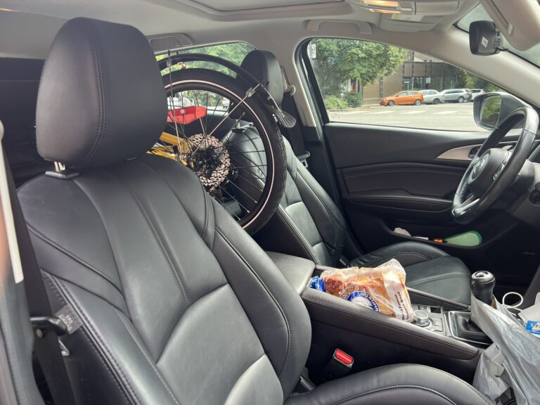 View from Front Seat
